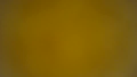 quinnxx online show from 03/24/26, 08:19