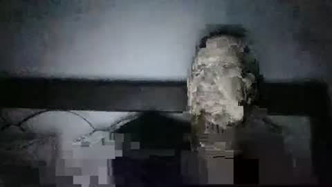 Snapshot of qwezxcqweasdzxc chatting on 10/23/25, 02:44 qwezxcqweasdzxc online show from 10/23/25, 02:44