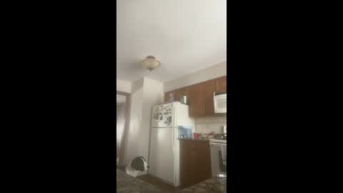 rabbi_poolnoodle online show from 01/16/26, 07:51