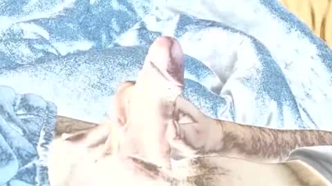 rabo_rico online show from 02/26/26, 10:14