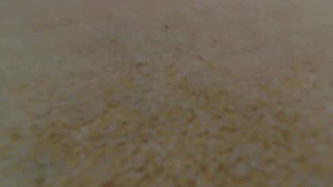 racefliege online show from 01/14/25, 06:02