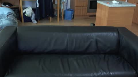 rafaelosteel online show from 11/01/25, 01:07