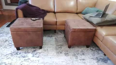 Snapshot of raffertynow chatting on 02/07/26, 02:59 DressSock Shoe online show from 02/07/26, 02:59