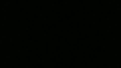 hornybluecollar online show from 12/10/24, 12:39