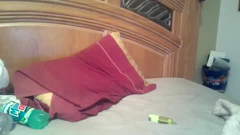 hitman online show from 11/02/25, 10:39