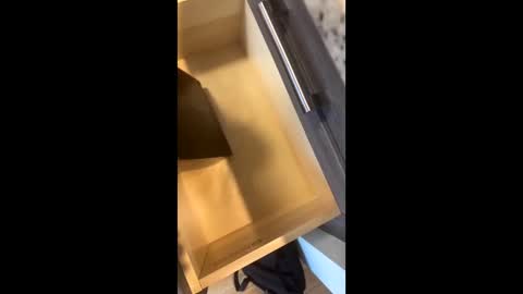 Rainbow Randolf online show from 11/22/25, 07:57