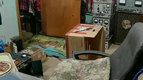 Randall online show from 11/23/25, 11:26