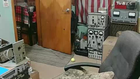 Randall online show from 01/18/26, 03:21