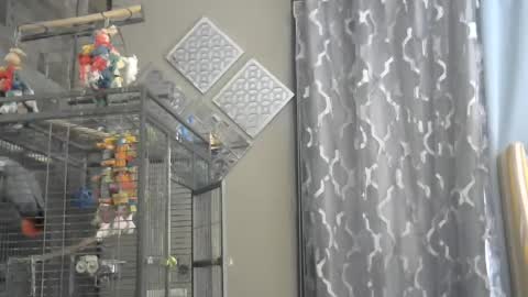 Snapshot of randybater8in chatting on 12/01/24, 09:26 Randy8inbater online show from 12/01/24, 09:26