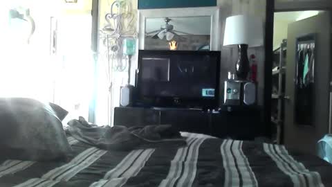 Snapshot of randybater8in chatting on 12/10/24, 06:17 Randy8inbater online show from 12/10/24, 06:17