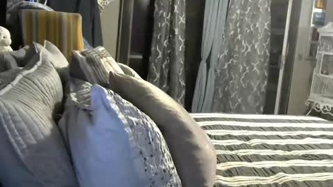 Snapshot of randybater8in chatting on 01/09/25, 05:34 Randy8inbater online show from 01/09/25, 05:34