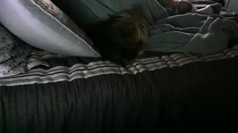 Snapshot of randybater8in chatting on 01/12/25, 02:52 Randy8inbater online show from 01/12/25, 02:52