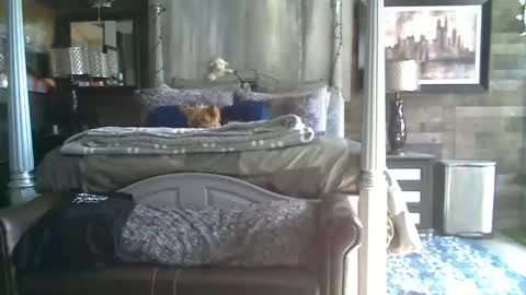 Snapshot of randybater8in chatting on 01/18/26, 08:12 Randy8inbater online show from 01/18/26, 08:12