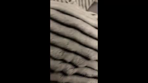 randyjohnson504 online show from 11/09/25, 05:06