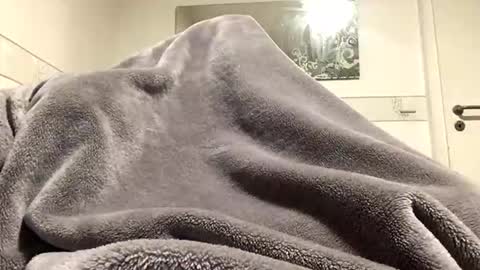 ranj00800 online show from 12/18/25, 05:19