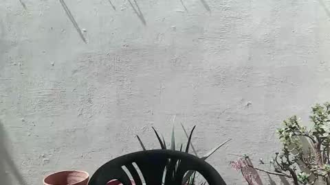 Ran online show from 04/25/26, 11:02