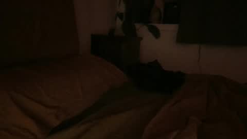 sebas online show from 02/06/25, 06:51