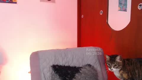 Snapshot of raventh_ chatting on 07/02/26, 05:57 raventh_ online show from 07/02/26, 05:57