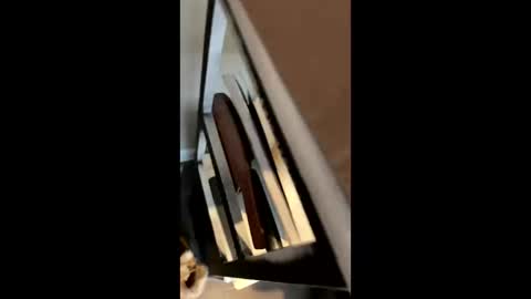 ravenxbeastie online show from 02/17/25, 08:58