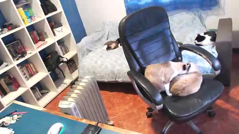 ravingr3d3 online show from 01/11/26, 03:28