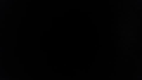 rayolex online show from 02/15/25, 10:22