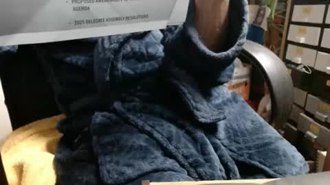 Ray online show from 11/23/25, 03:39