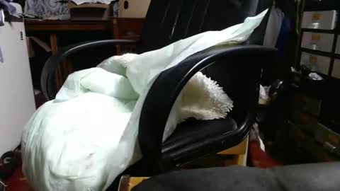 Ray online show from 04/29/26, 11:03