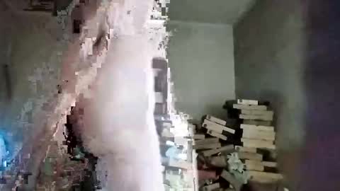 rdcervetto81 online show from 02/11/26, 08:08