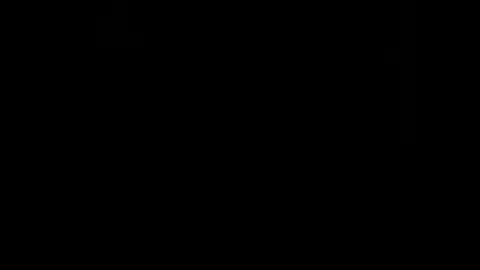 rdt2030 online show from 12/29/24, 09:30