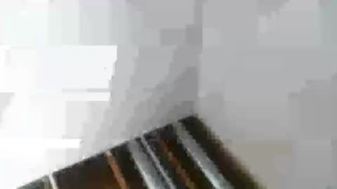 Snapshot of rdyforitall chatting on 01/06/25, 02:48 Mr Nice online show from 01/06/25, 02:48