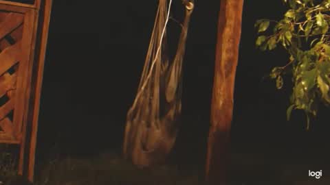 ready4aride2day online show from 04/24/26, 02:14