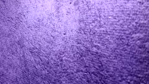 Rasta online show from 10/21/25, 06:30