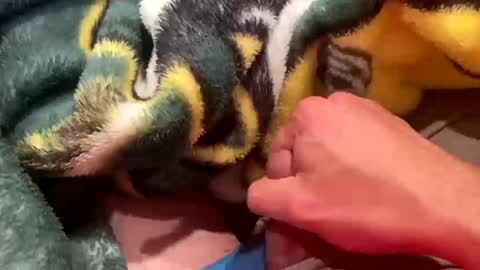 Snapshot of realbigload77 chatting on 10/11/25, 02:55 realbigload77 online show from 10/11/25, 02:55