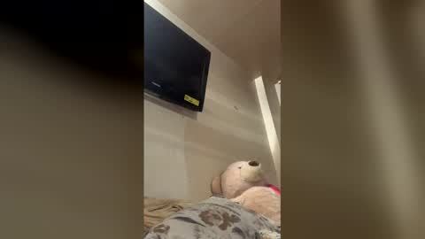 Snapshot of reallife1993 chatting on 02/01/26, 01:59 reallife1993 online show from 02/01/26, 01:59