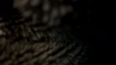 Snapshot of realmanz chatting on 01/08/25, 06:09 realmanz online show from 01/08/25, 06:09