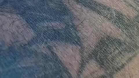 realrubpirate online show from 09/09/25, 09:31