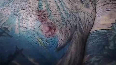 realrubpirate online show from 02/03/26, 09:03