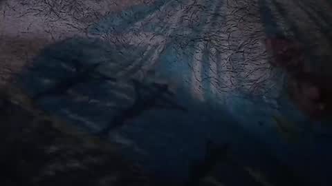 realrubpirate online show from 03/22/26, 07:56