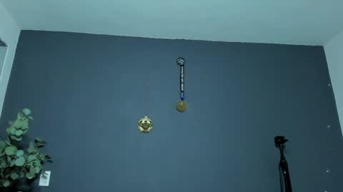 twitter REECET26 instagram RECCETAYLOR online show from 02/26/26, 12:09