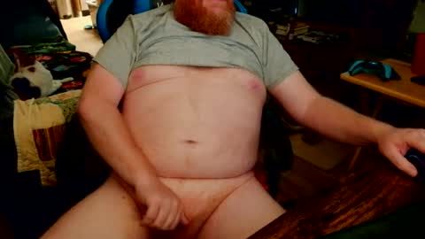 red_sea_bear online show from 07/11/26, 12:30