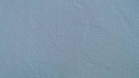 Rose  Dariah online show from 07/20/26, 02:08