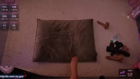 Redhead Shark online show from 01/09/26, 01:14