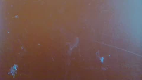 paola online show from 01/29/25, 06:22