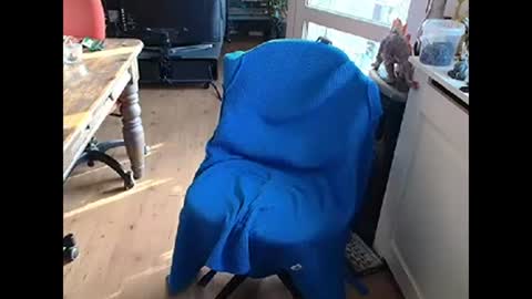 Snapshot of relaxyio chatting on 03/10/25, 07:42 relaxyio online show from 03/10/25, 07:42