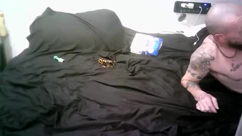 remshotdt online show from 03/06/26, 05:48