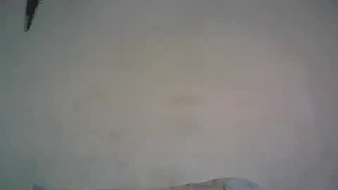 Walter online show from 02/15/26, 07:51