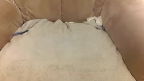 Mark online show from 03/22/26, 08:07