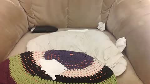 Mark online show from 04/11/26, 07:45