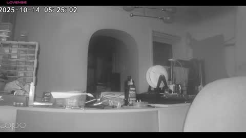 reza240782 online show from 10/14/25, 04:24