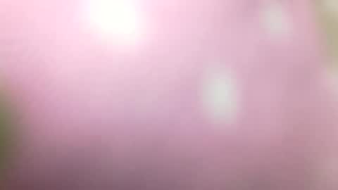 Shaved cock ready online show from 01/01/25, 10:56